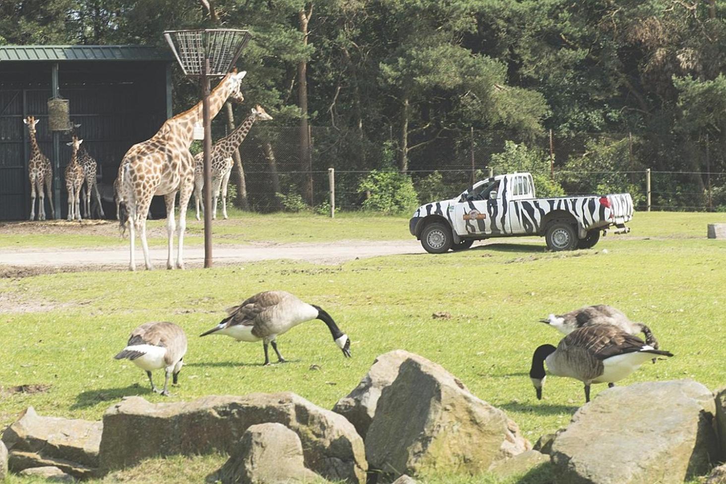 Camping Marvilla Parks Kaatsheuvel - Roan 外观 照片
